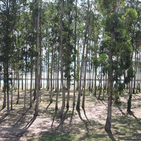 Apartamento Pie De Playa, El Puntal-Villaviciosa Вальявисьоса Экстерьер фото